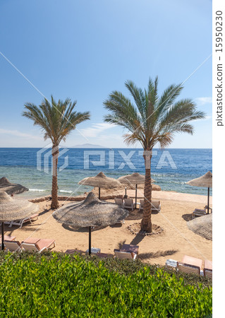 Beach at the luxury hotel, Sharm el Sheikh, Egypt Beach at the luxury hotel, Sharm el Sheikh, Egypt 15950230