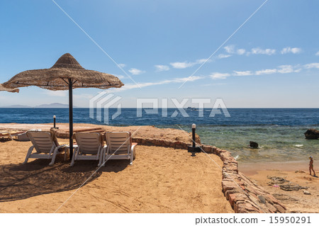 Beach at the luxury hotel, Sharm el Sheikh, Egypt 15950291