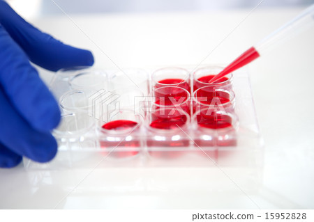 Science_093 Science_093 15952828