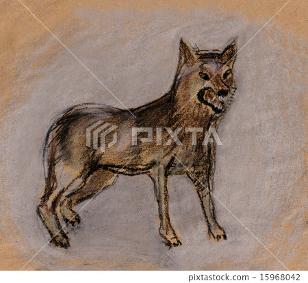 Wolf Wolf 15968042
