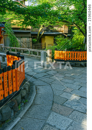 京都祗園白川 15968466