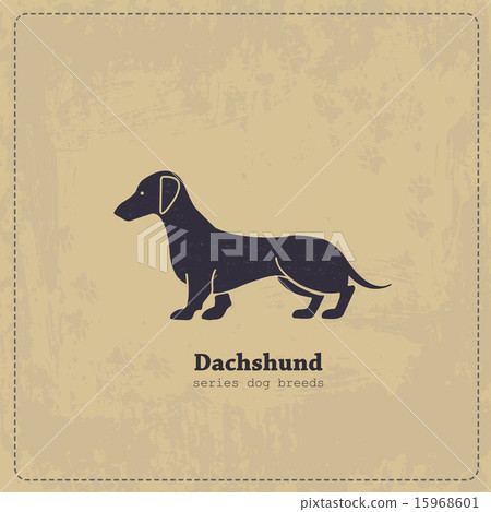 Vintage Dachshund poster Vintage Dachshund poster 15968601