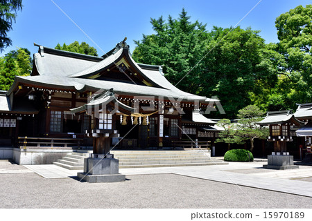 和泉神社 和泉神社 15970189