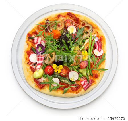 Vegetable pizza Vegetable pizza 15970670