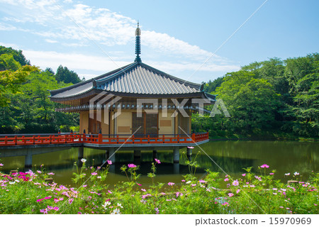 Kinkaku Shimodo 15970969