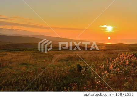 Evening landscape Evening landscape 15971535