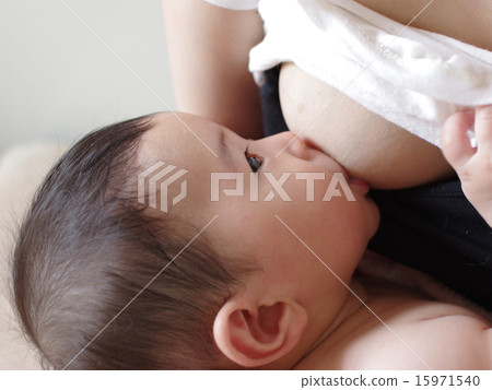 寶貝（4個月） 15971540