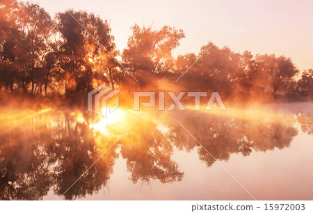 Fog on the river 15972003