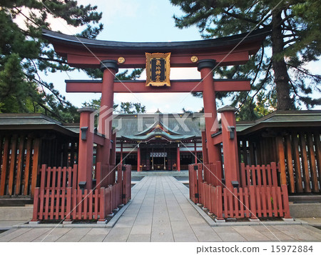 Chi Jingu 15972884