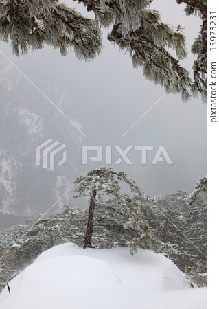 landscape landscape 15973231