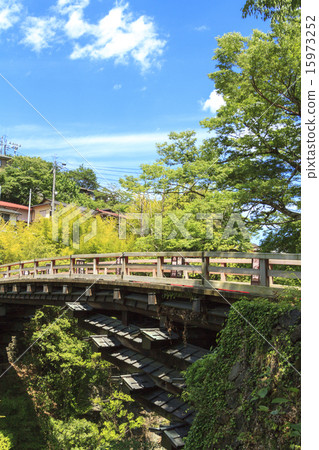 Saruhashi新鮮的綠色 15973252