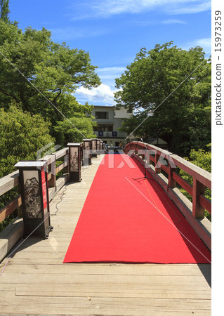 Fresh green of Saruhashi Fresh green of Saruhashi 15973259