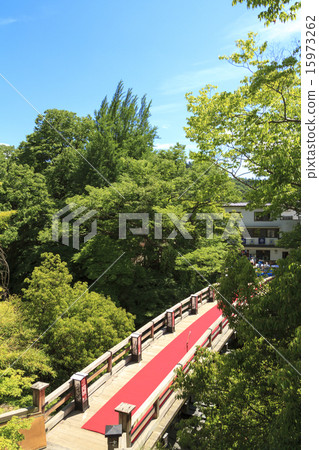 Fresh green of Saruhashi Fresh green of Saruhashi 15973262