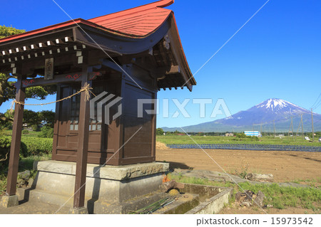 Mt. Fuji in early summer 15973542
