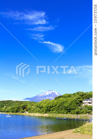 Mt. Fuji in early summer Mt. Fuji in early summer 15973558