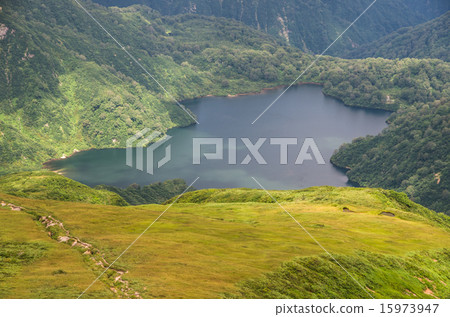 Full view of Toriikei 15973947