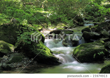 Clear current of spring - sideways 15974913