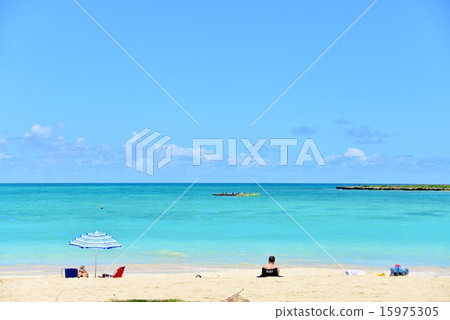 夏威夷的假期 夏威夷的假期 15975305