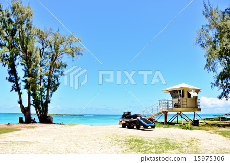 Holidays in Hawaii 15975306