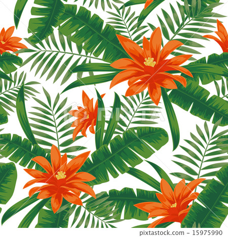 Tropical plants 15975990