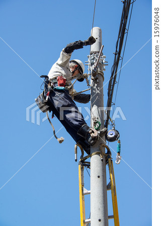 電線結構 電線結構 15976048