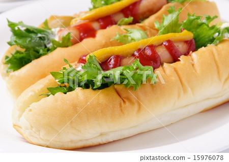 hot dog hot dog 15976078