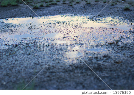 land after the rain 15976390