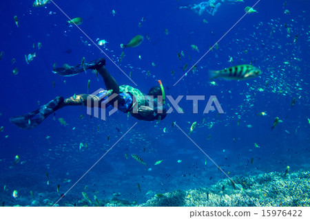 Young Man Snorkeling in the Tropical Water 15976422