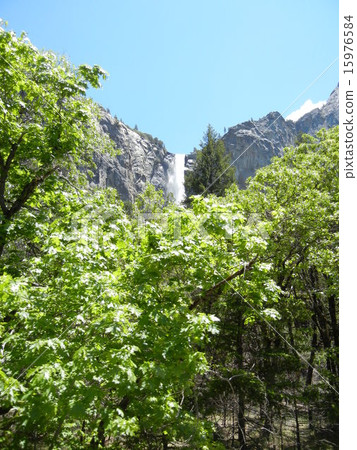Yosemite America California National Park June 2011 15976584