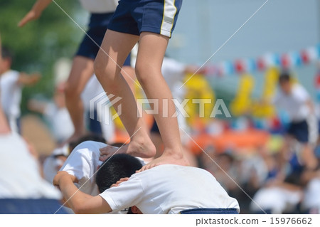 Elementary school sports festival gymnastics 15976662