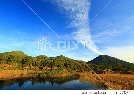 Autumn leaves of Hakkoda Water Lilies 15977025