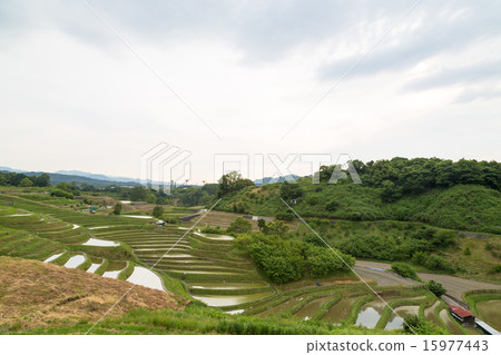 Chihaya-okasaki村的水稻露台 15977443