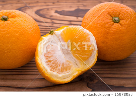 甜蜜的夏天 15978083