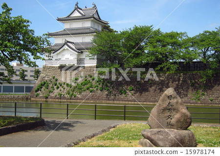 Shibata castle fresh green 15978174