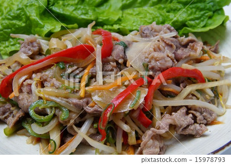 Bulgogi  15978793