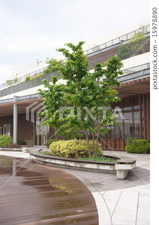 山崎樹 山崎樹 15978890