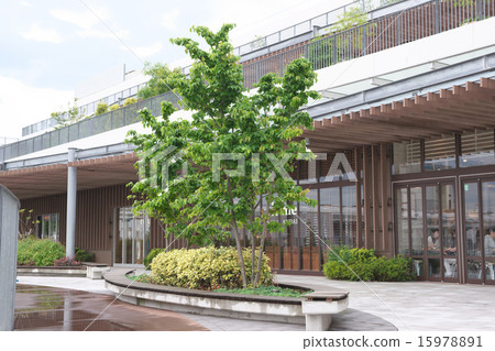 Yamabashi tree Yamabashi tree 15978891