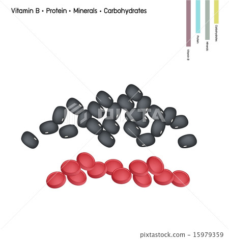 Kidney Bean With Vitamin B, Protein, Minerals - Stock Illustration ...