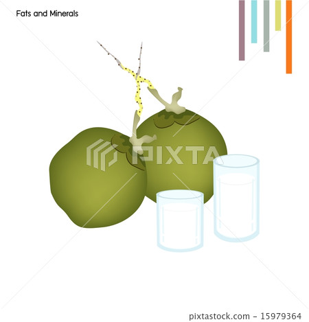 Coconut with Fats and Minerals on White Background 15979364
