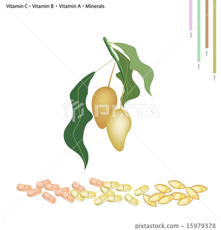 Ripe Mangoes with Vitamin C, B, A and Minerals 15979378