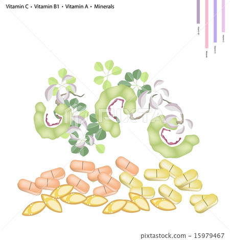 Manila Tamarind with Vitamin C, B1 and Minerals 15979467