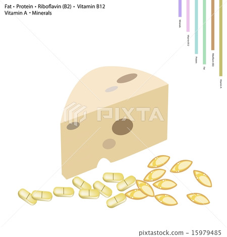 Cheese with Fat, Protein, Vitamin B2, B12, A 15979485