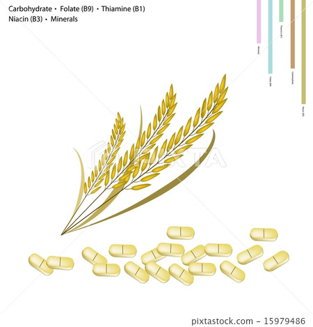 Rice Carbohydrate, Vitamin B9, B1, B3 Minerals 15979486