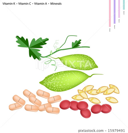 Balsam Pear with Vitamin K, C, A and Minerals Balsam Pear with Vitamin K, C, A and Minerals 15979491