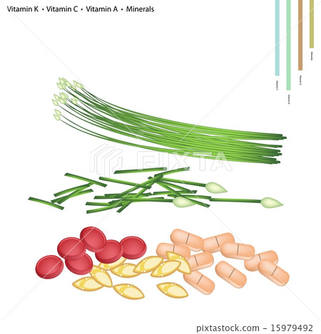 Garlic Chives with Vitamin K, C, A, B9 Minerals Garlic Chives with Vitamin K, C, A, B9 Minerals 15979492