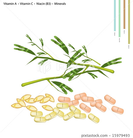 Water Mimosa with Vitamin A, C and B3 Water Mimosa with Vitamin A, C and B3 15979493
