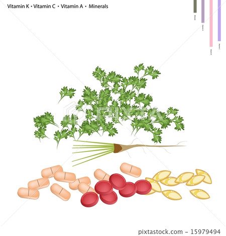 Coriander with Vitamin K, C and A Coriander with Vitamin K, C and A 15979494