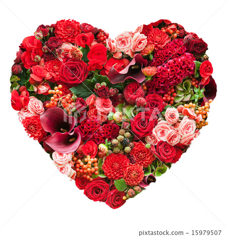 Valentines Day Heart Made of tan Roses Isolated 15979507