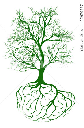 Tree with brain roots 15979587
