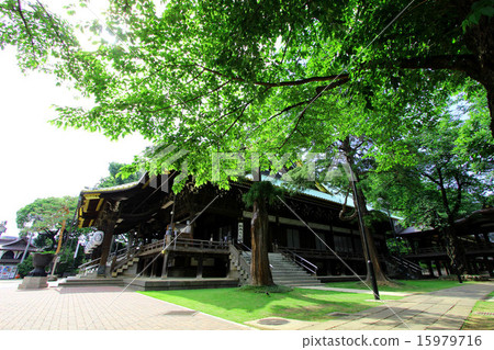 Suginami Oshimaji 15979716